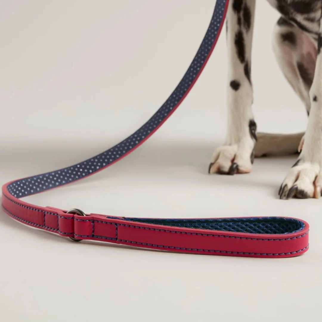 Joules Leather Dog Lead - Image 4