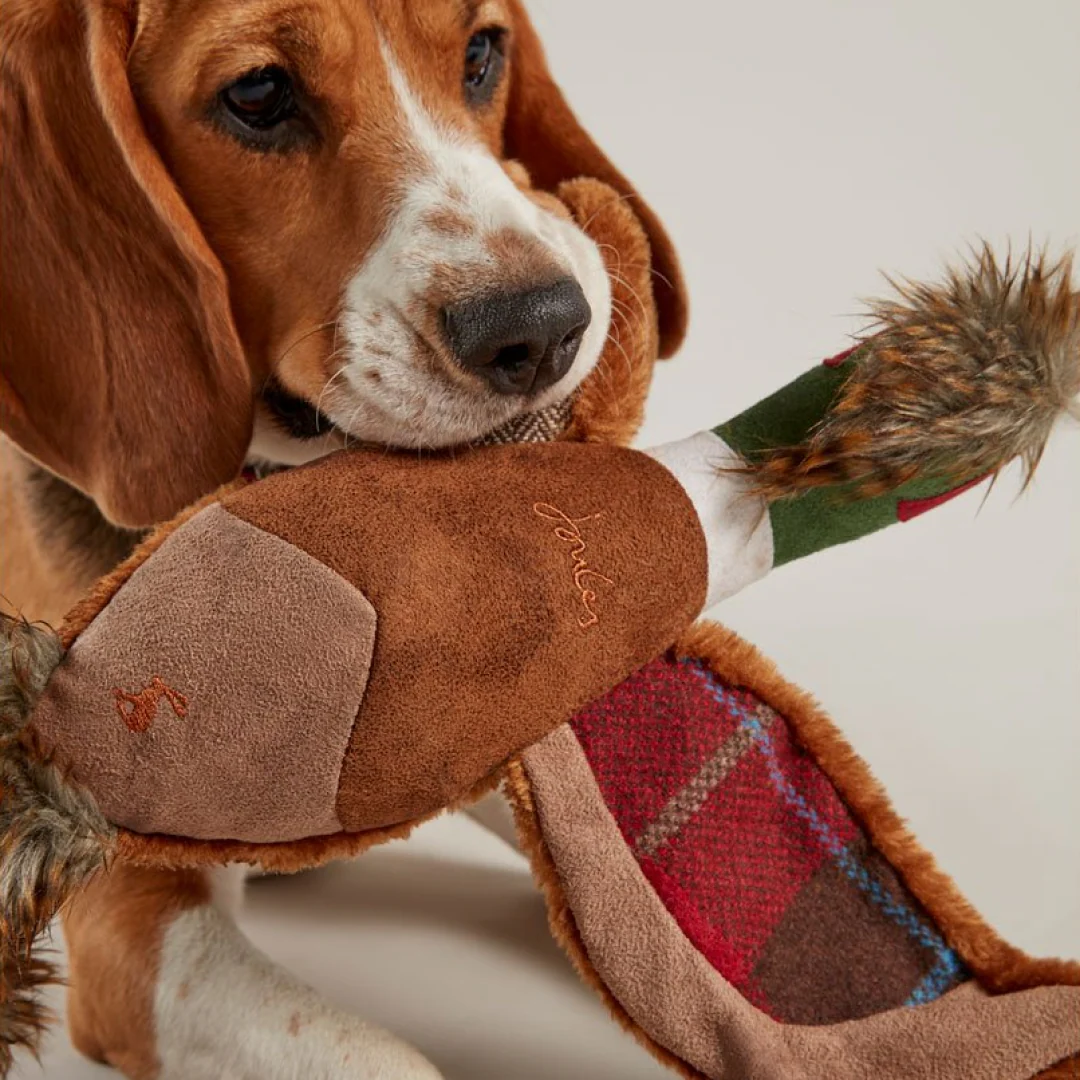 Joules Pheasant Dog Toy - Image 2