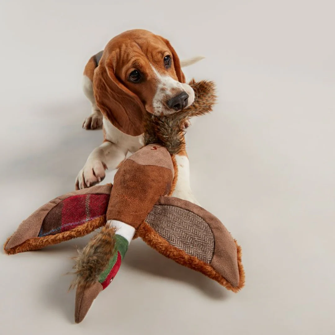 Joules Pheasant Dog Toy - Image 3