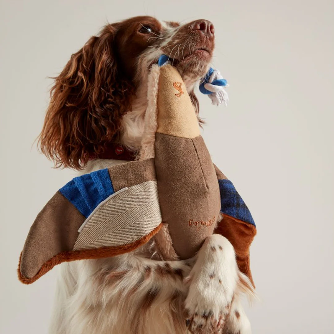 Joules Plush Printed Duck - Image 2
