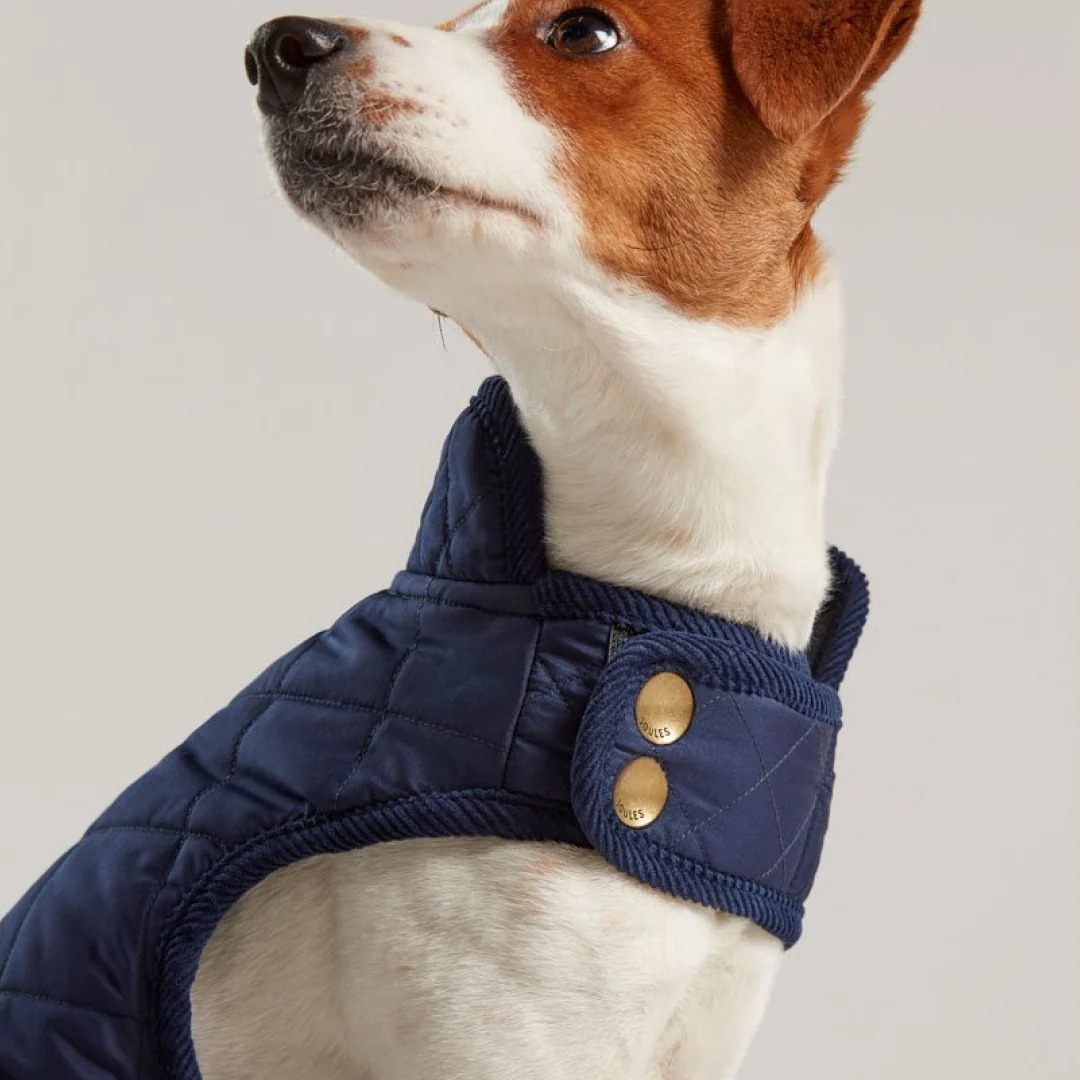 Joules Quilted Dog Coat - Image 3