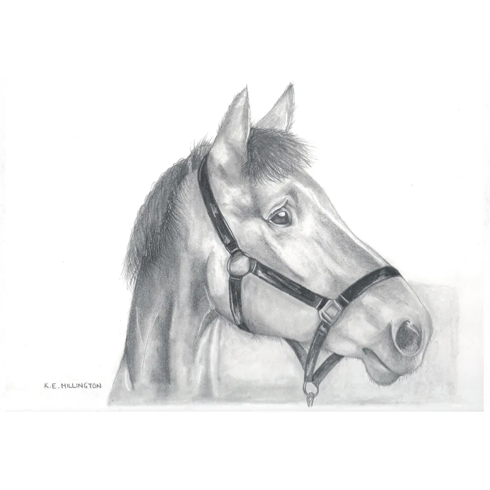 Kevin Milner Countryside Cards - Image 42
