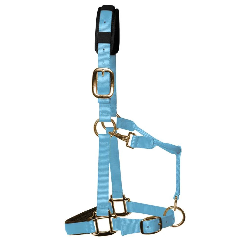 KM Elite Padded Headcollar - Image 3