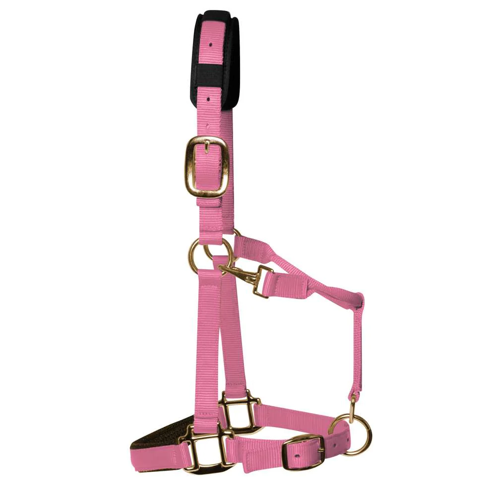 KM Elite Padded Headcollar - Image 4