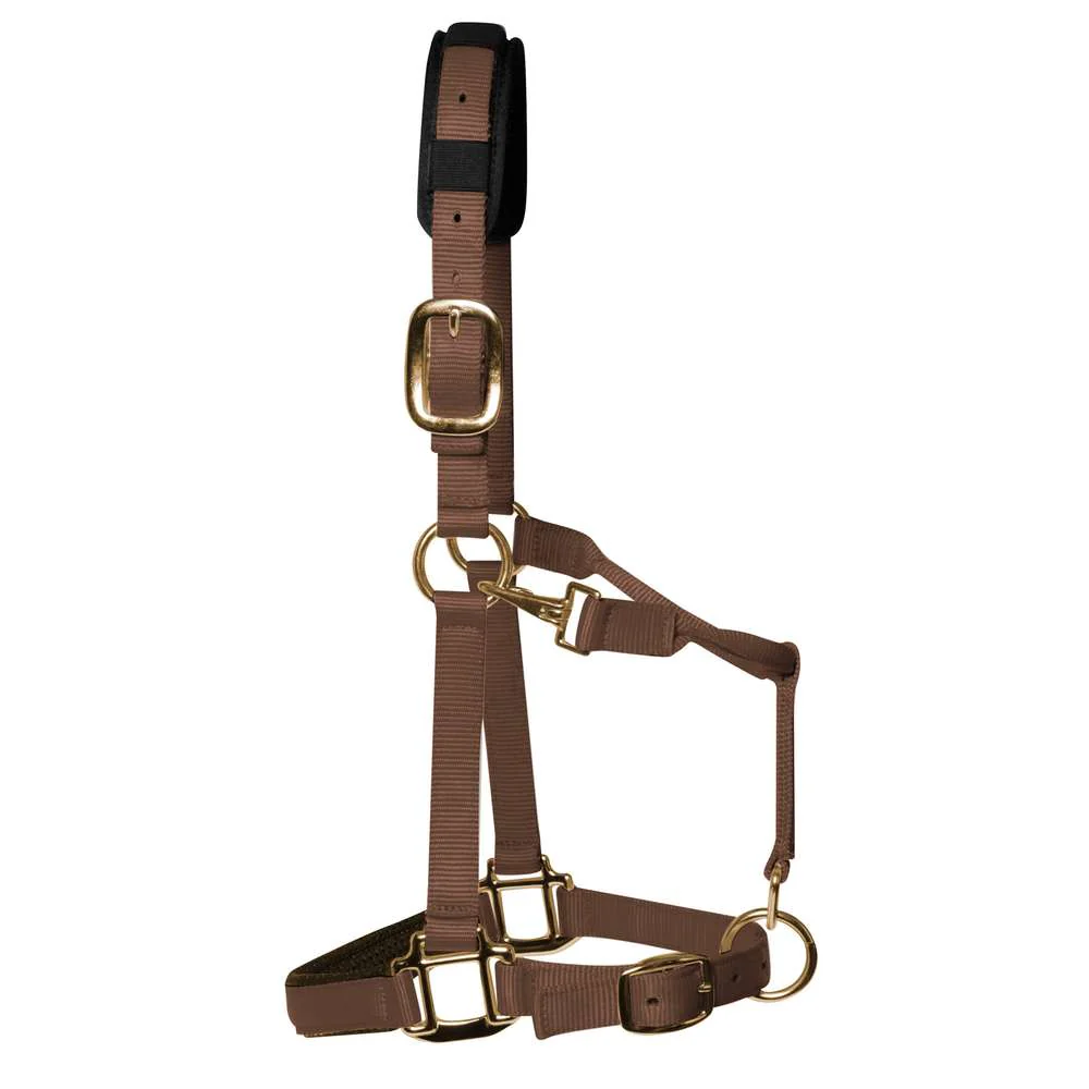 KM Elite Padded Headcollar - Image 5