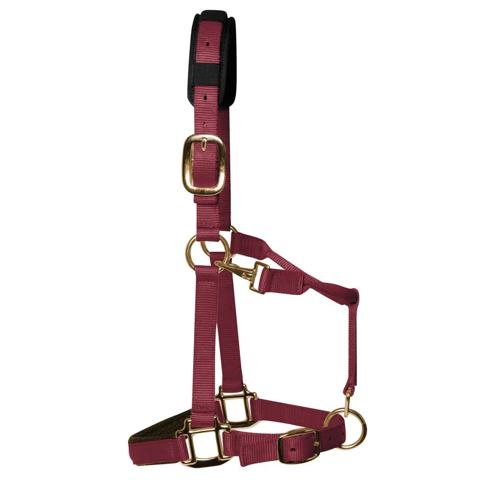 KM Elite Padded Headcollar - Image 6