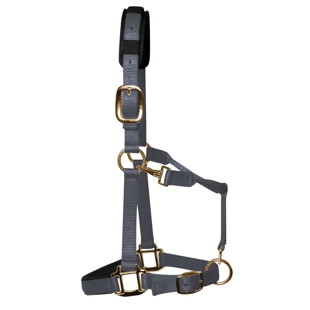 KM Elite Padded Headcollar - Image 7