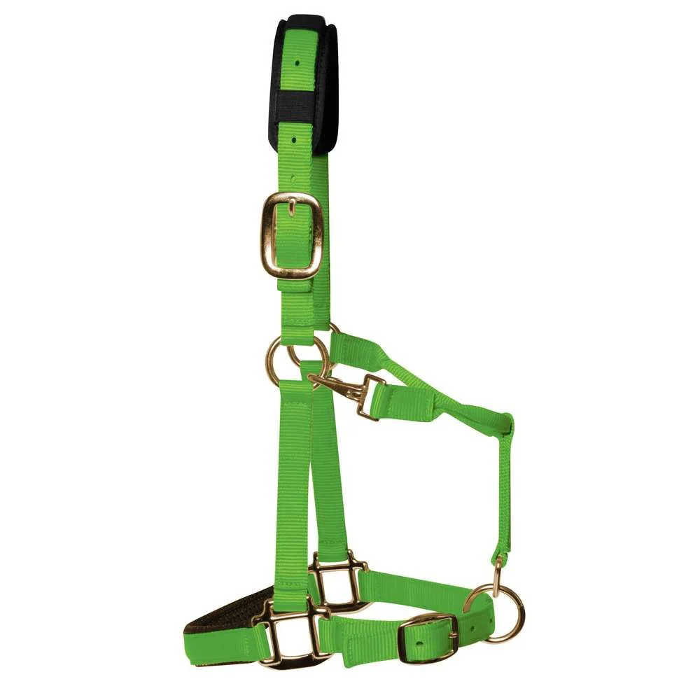 KM Elite Padded Headcollar - Image 8