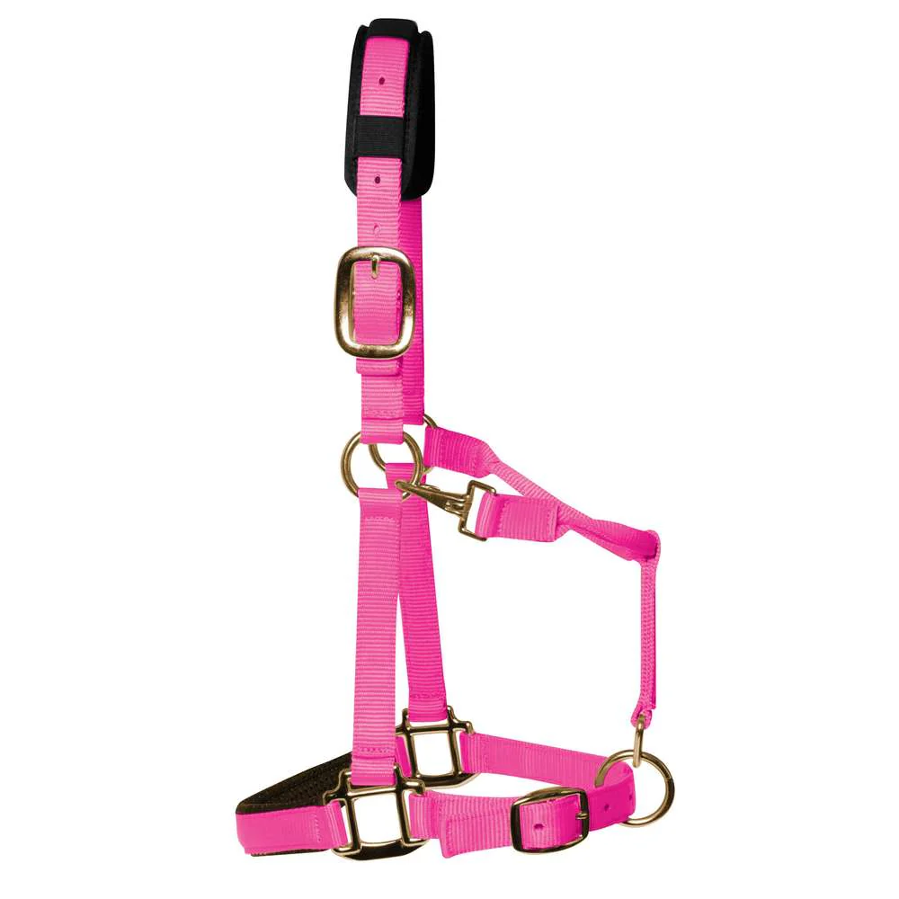 KM Elite Padded Headcollar - Image 9