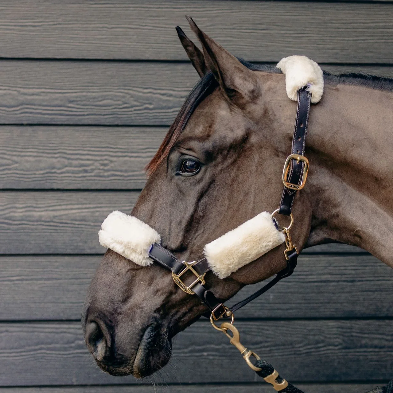 KM Elite Teddy Soft Headstall Set - Image 3