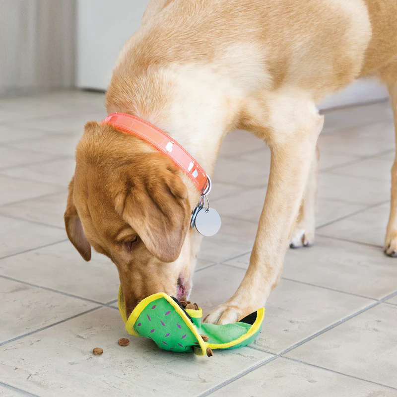 KONG Ballistic Hide 'n Treat - Image 8