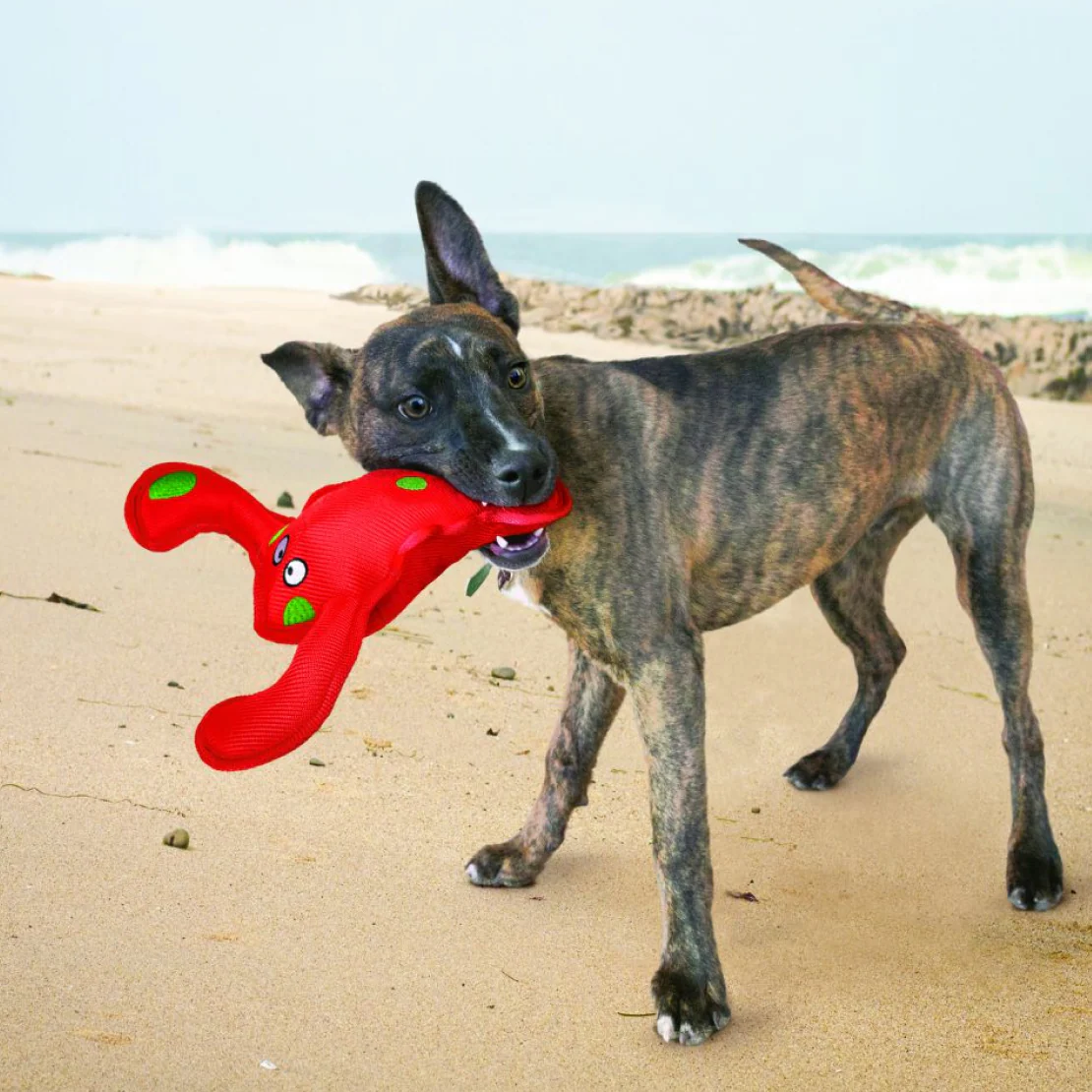 KONG Belly Flops - Image 3