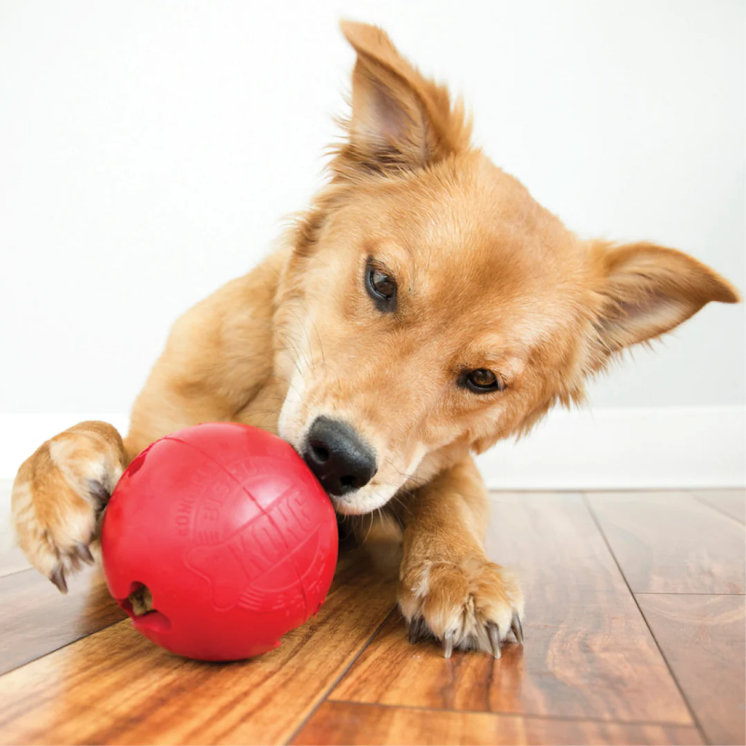 KONG Biscuit Ball - Image 2