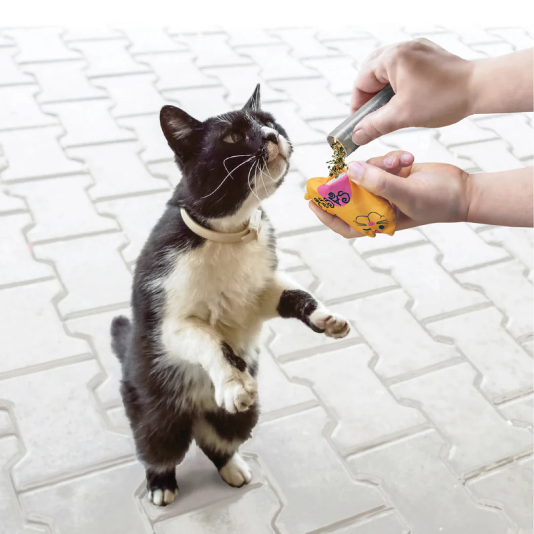 KONG Cat Refillables Catnip Tube - Image 3