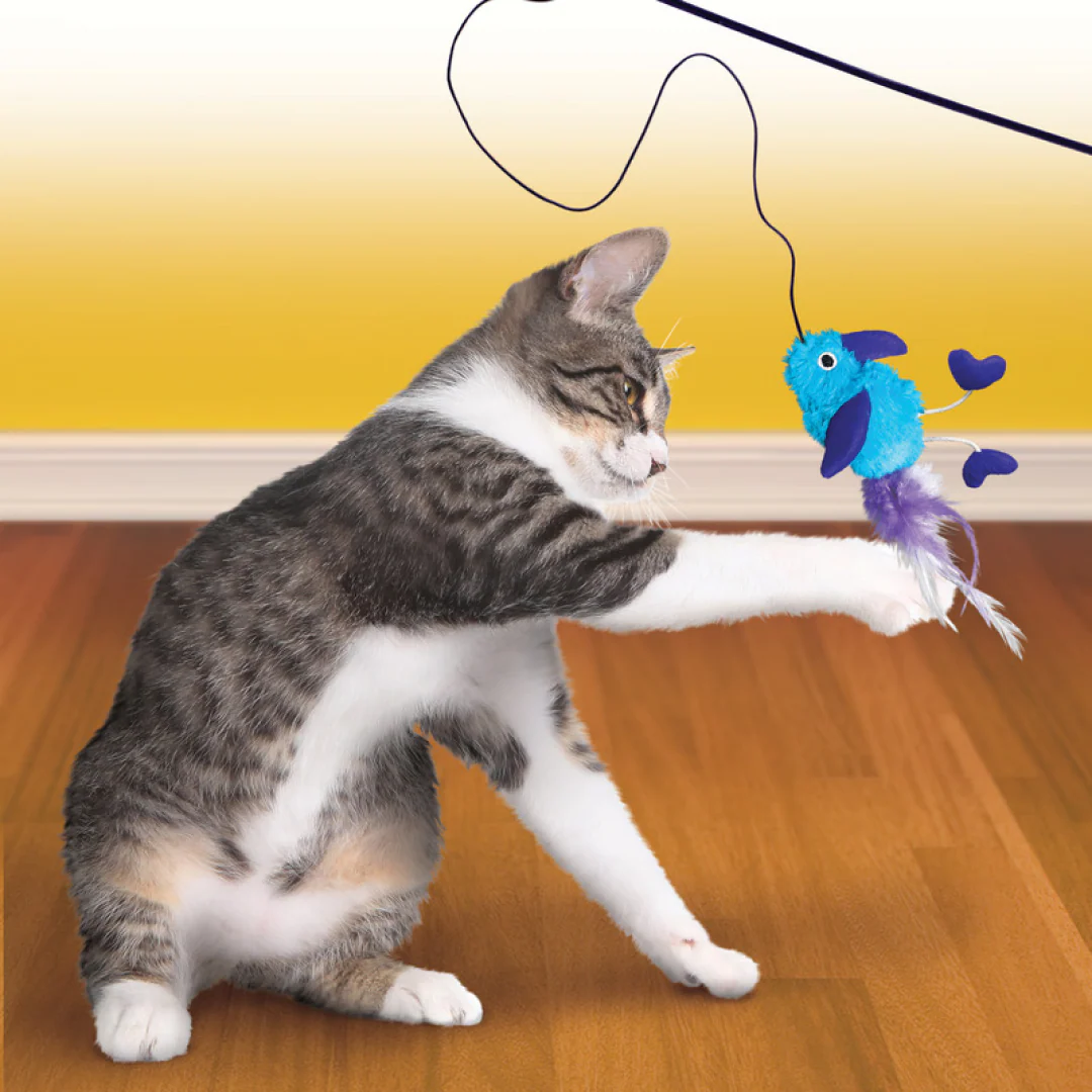 KONG Cat Teaser Feather - Image 6