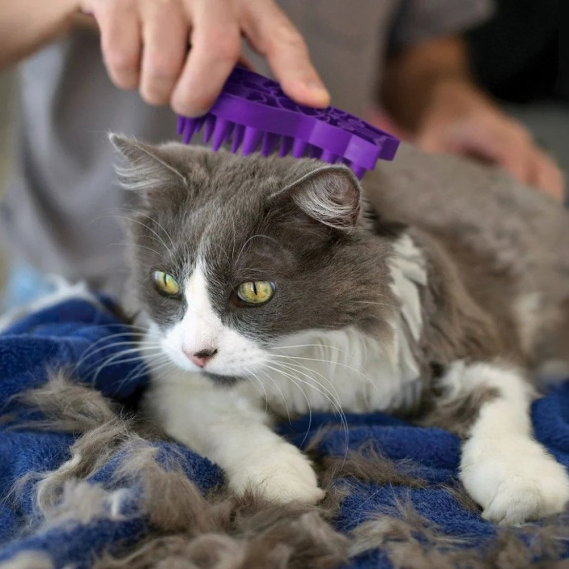 KONG Cat ZoomGroom - Image 5