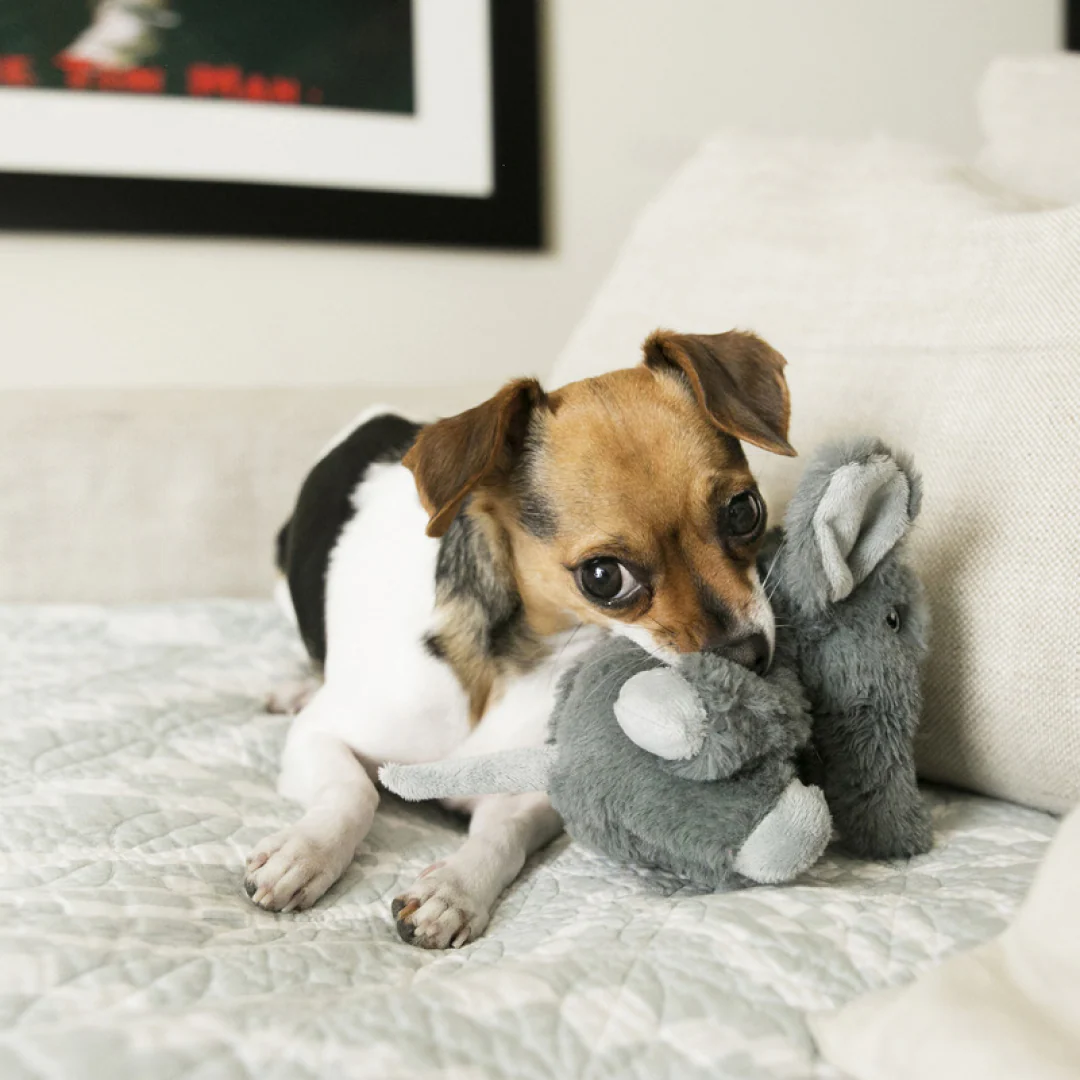 KONG Comfort Kiddos - Image 3