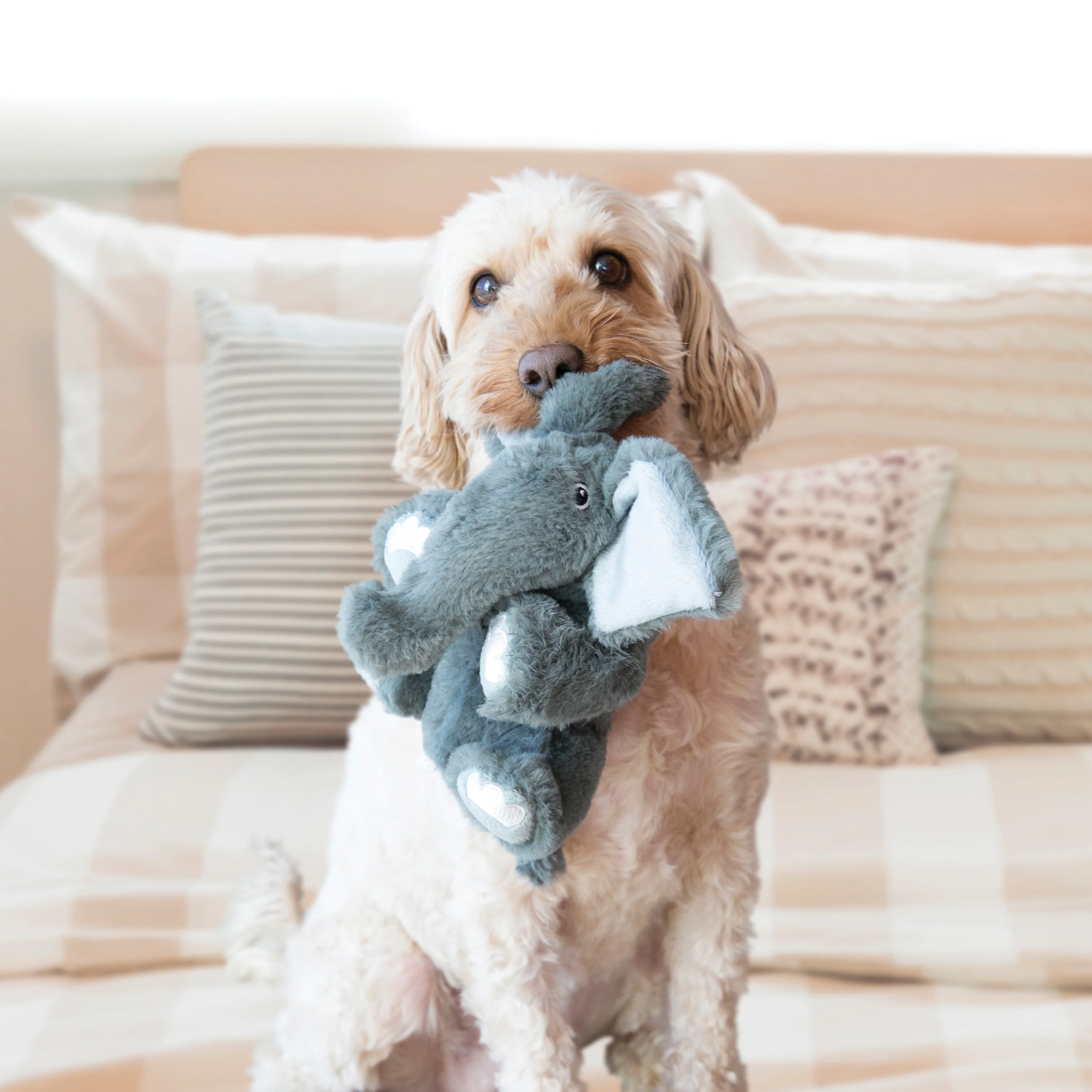 KONG Comfort Kiddos - Image 8