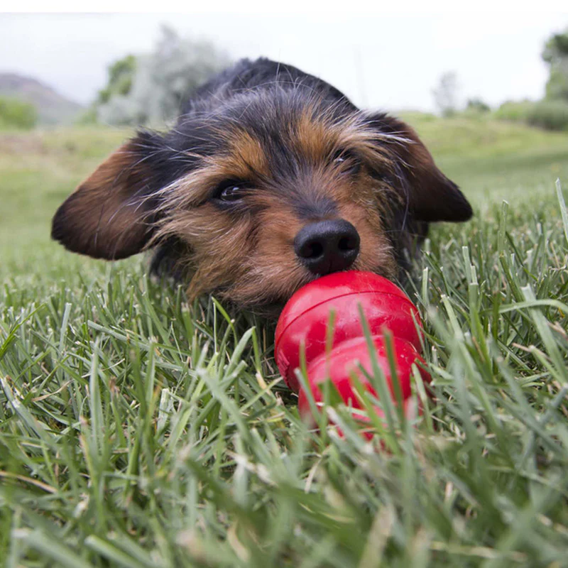 KONG Easy Treat - Image 4