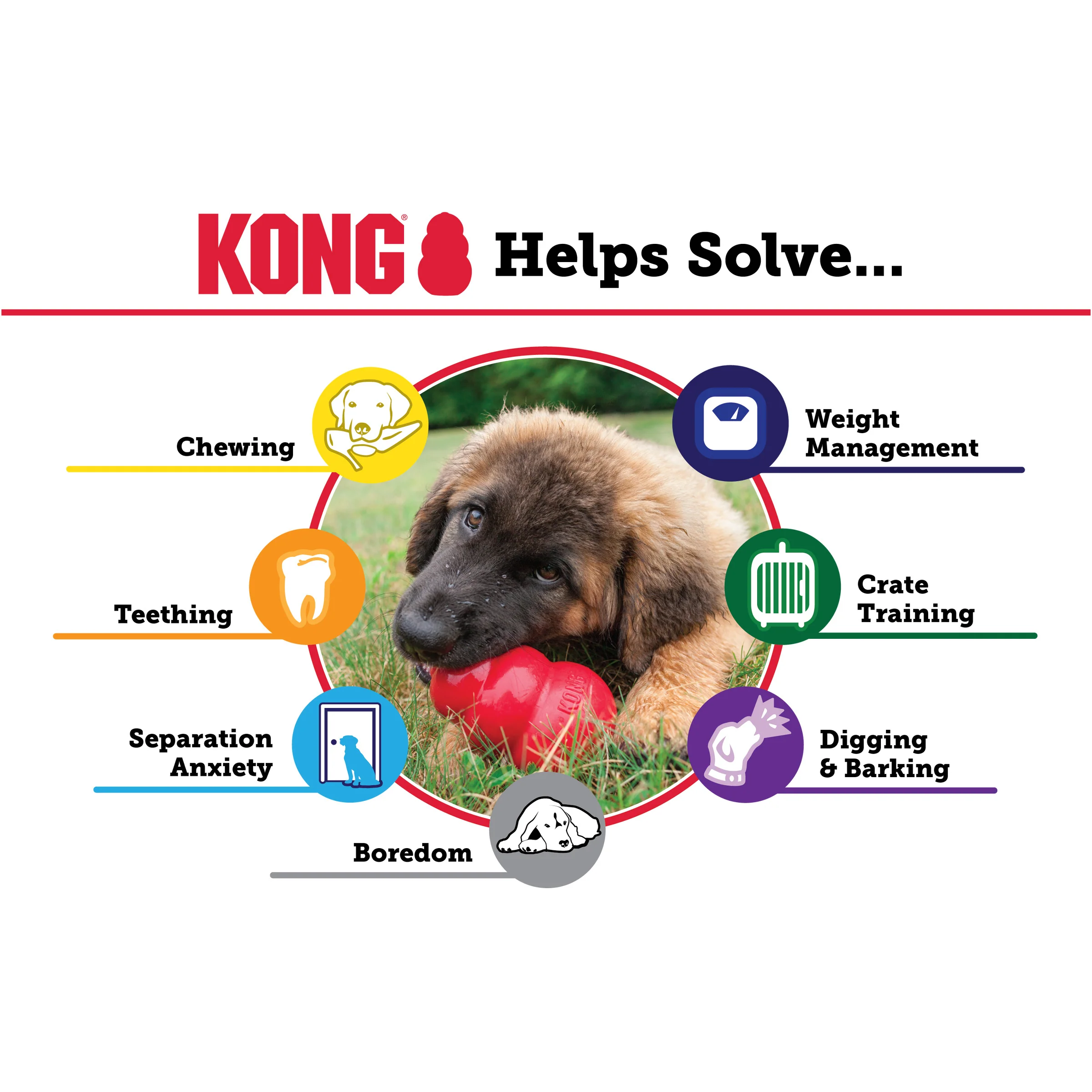 KONG Extreme - Image 17