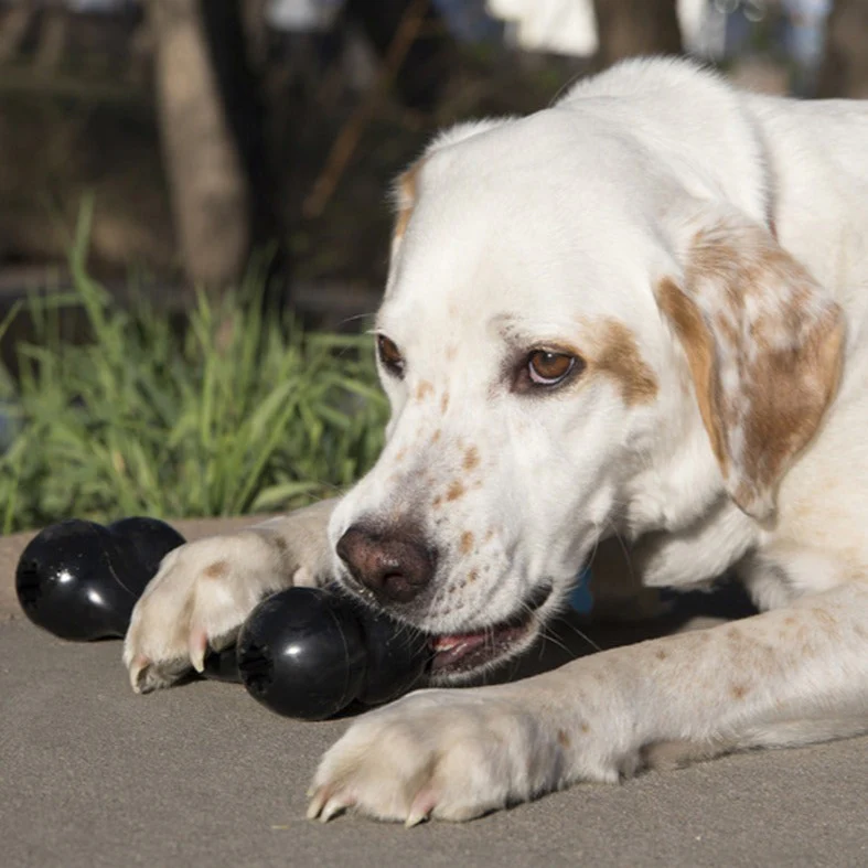 KONG Goodie Bone Extreme - Image 8