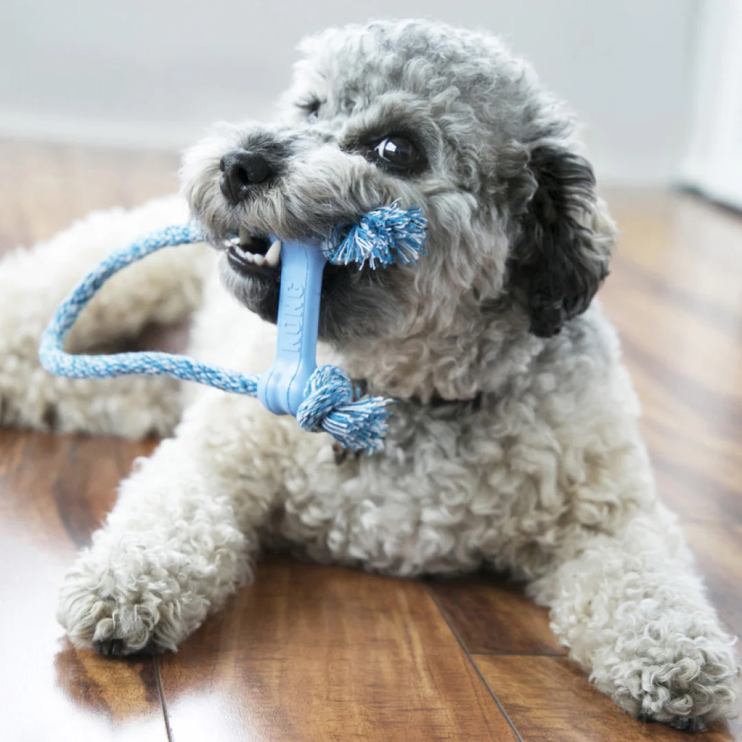 KONG Puppy Goodie Bone with Rope - Image 5