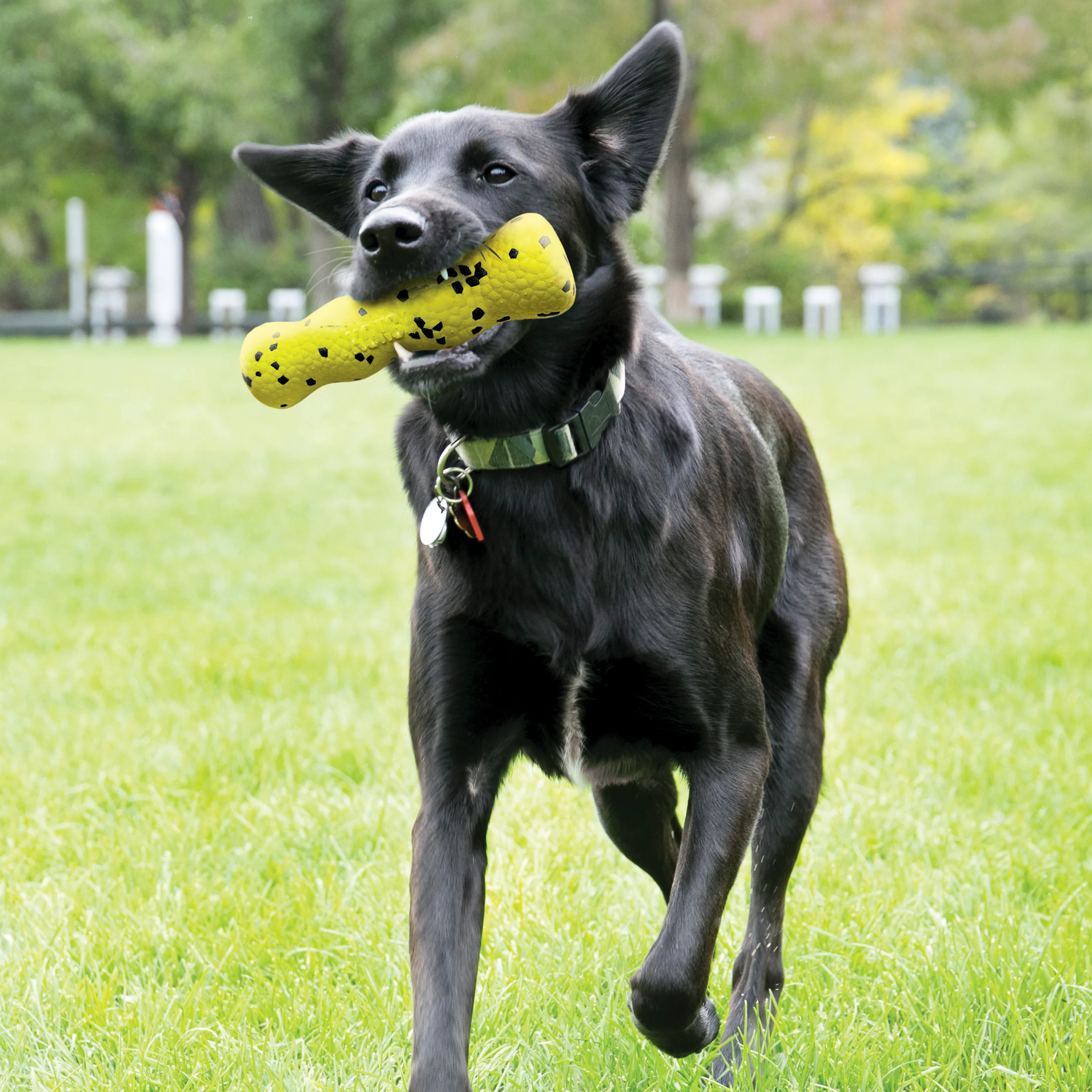 KONG Reflex Stick - Image 4