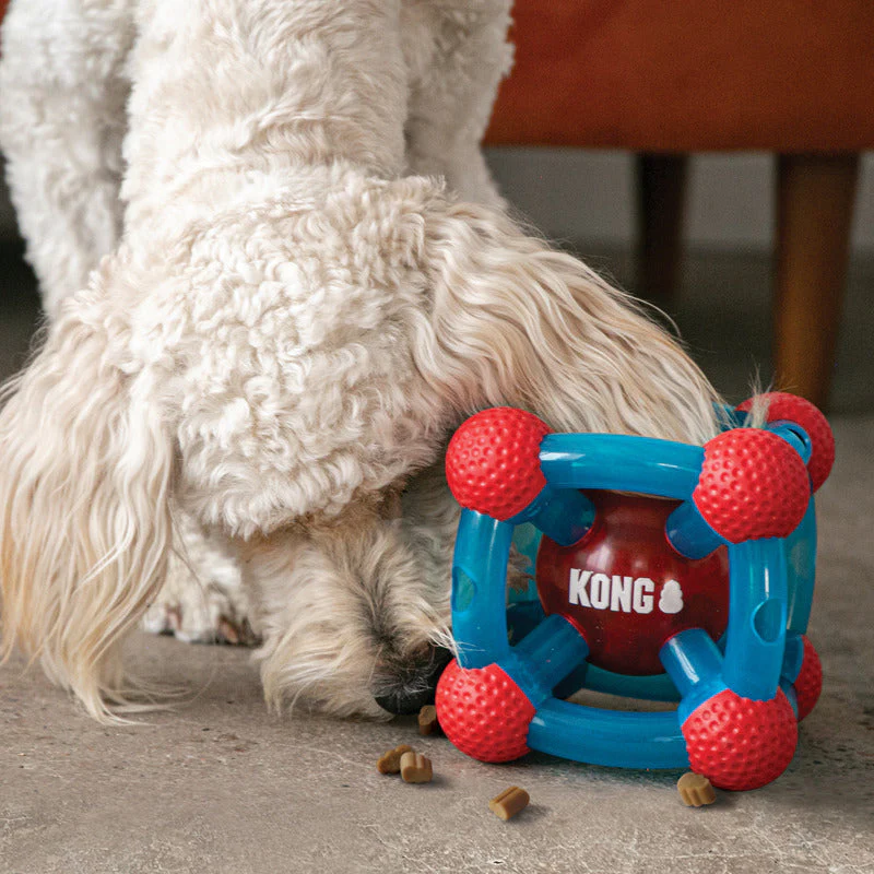 KONG Rewards Tinker - Image 5