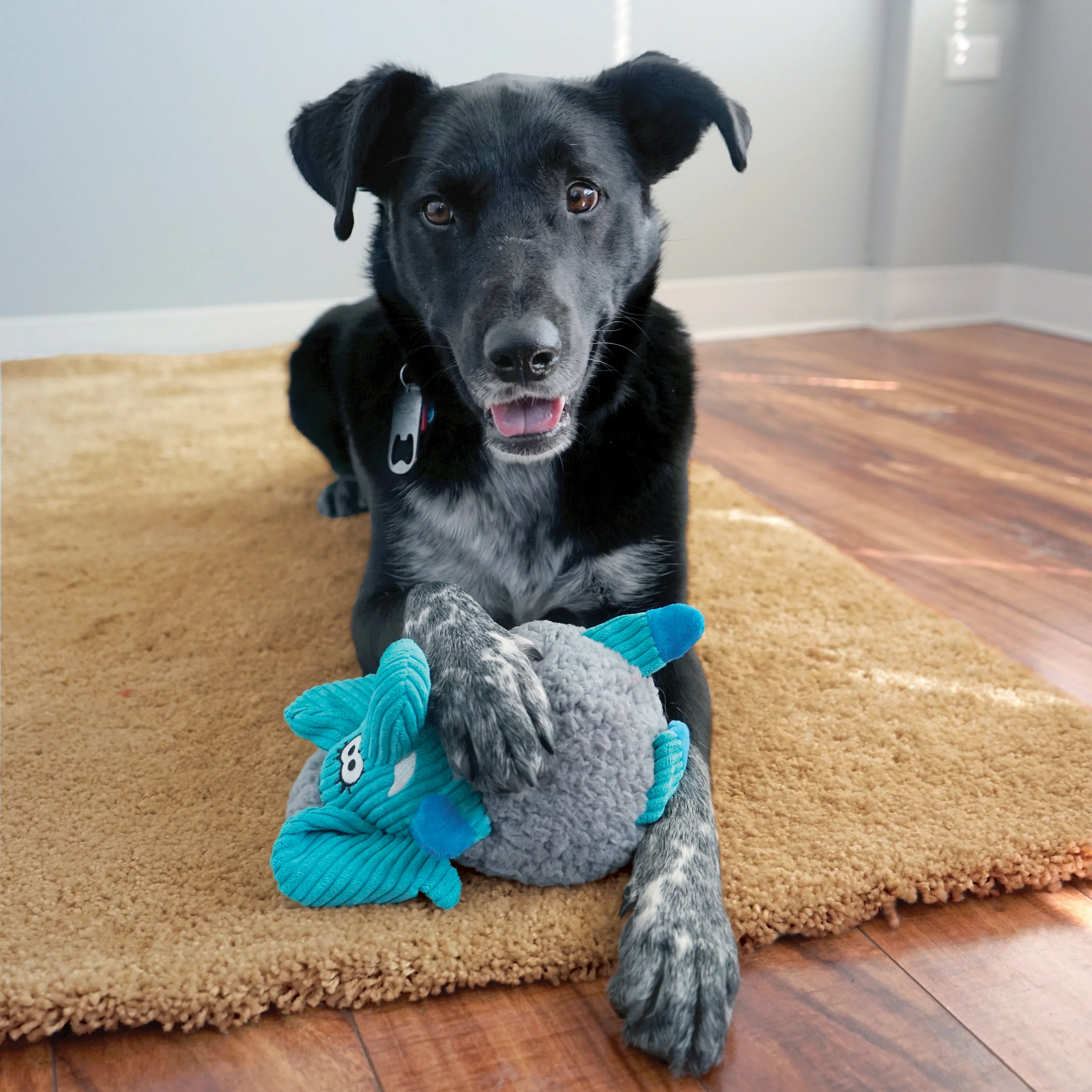 KONG Sherps Floofs - Image 8