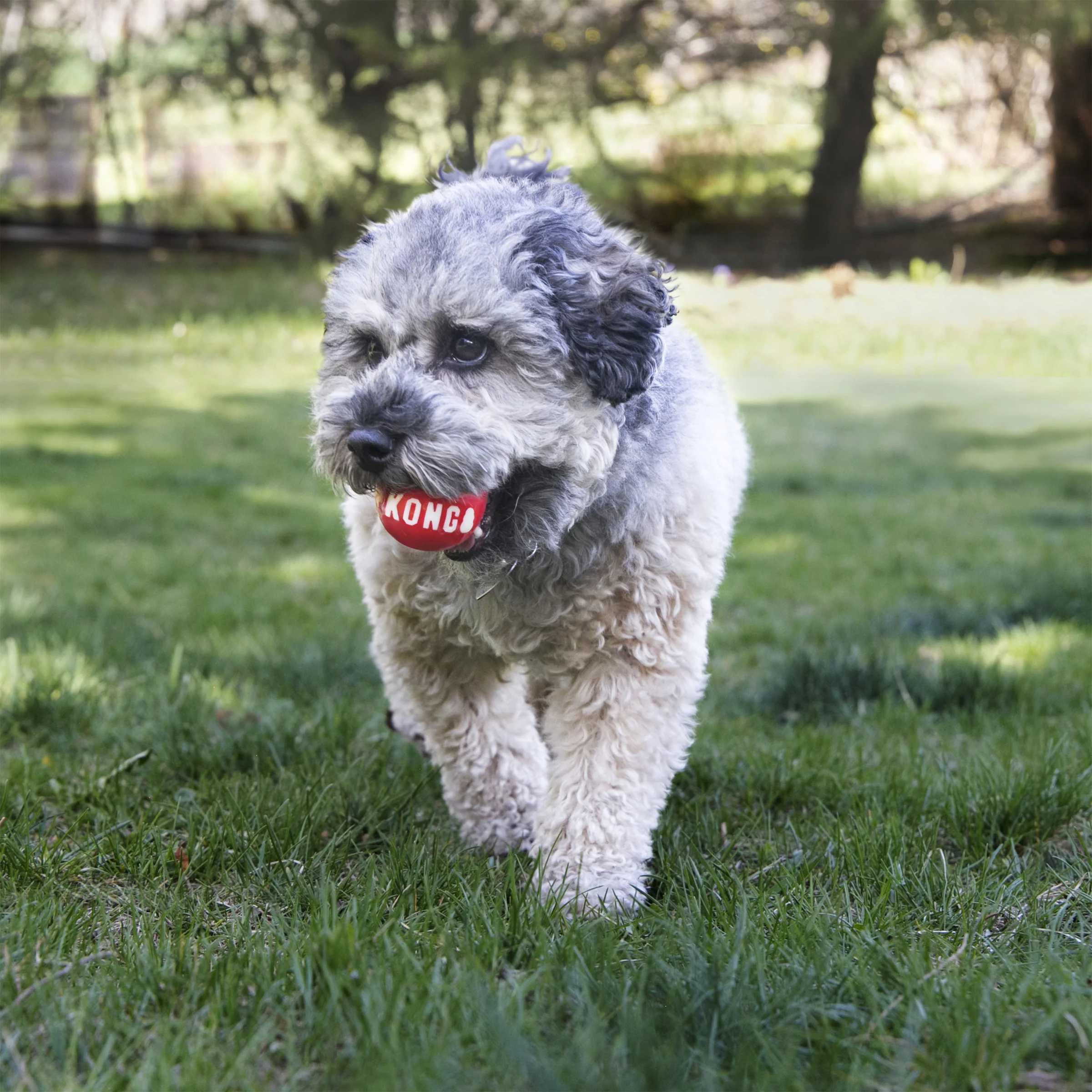 KONG Signature Balls - Image 12
