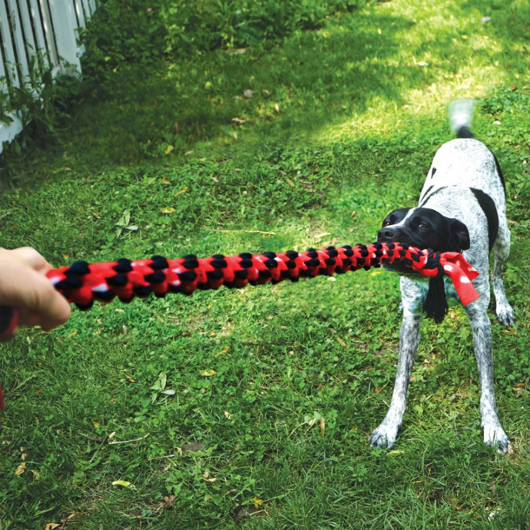 KONG Signature Rope Double Tug - Image 4