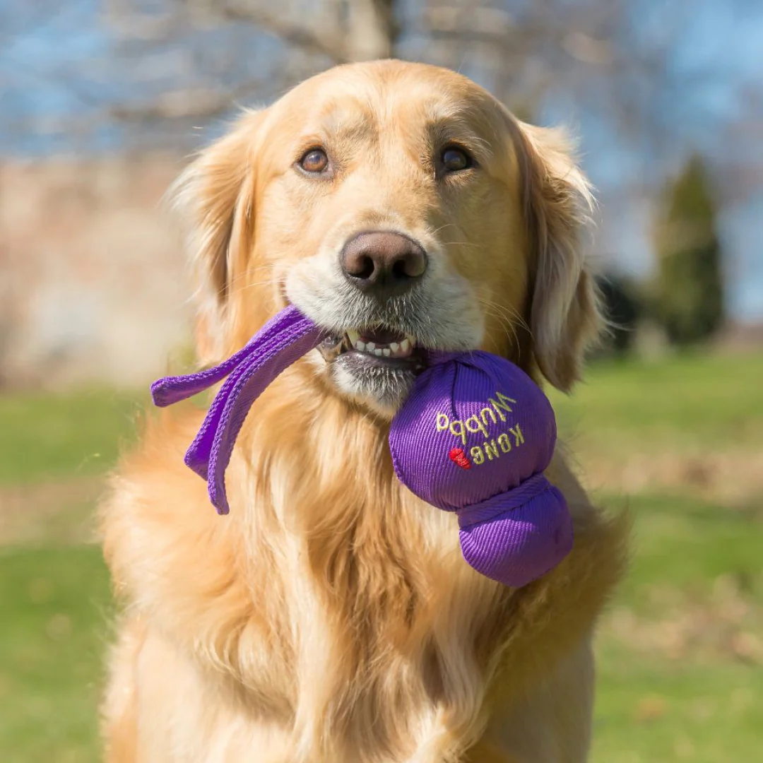 KONG Wubba - Image 10