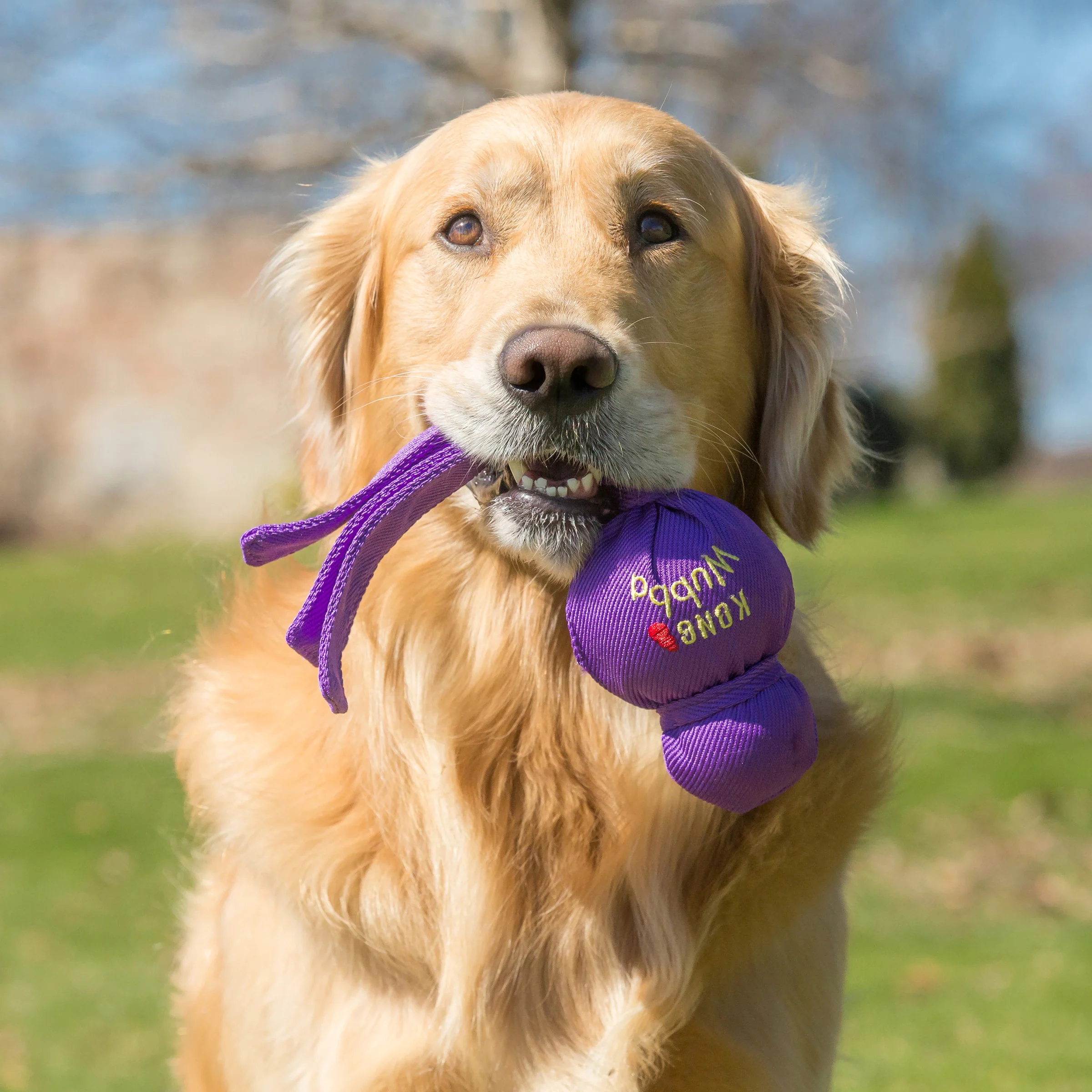 KONG Wubba - Image 16