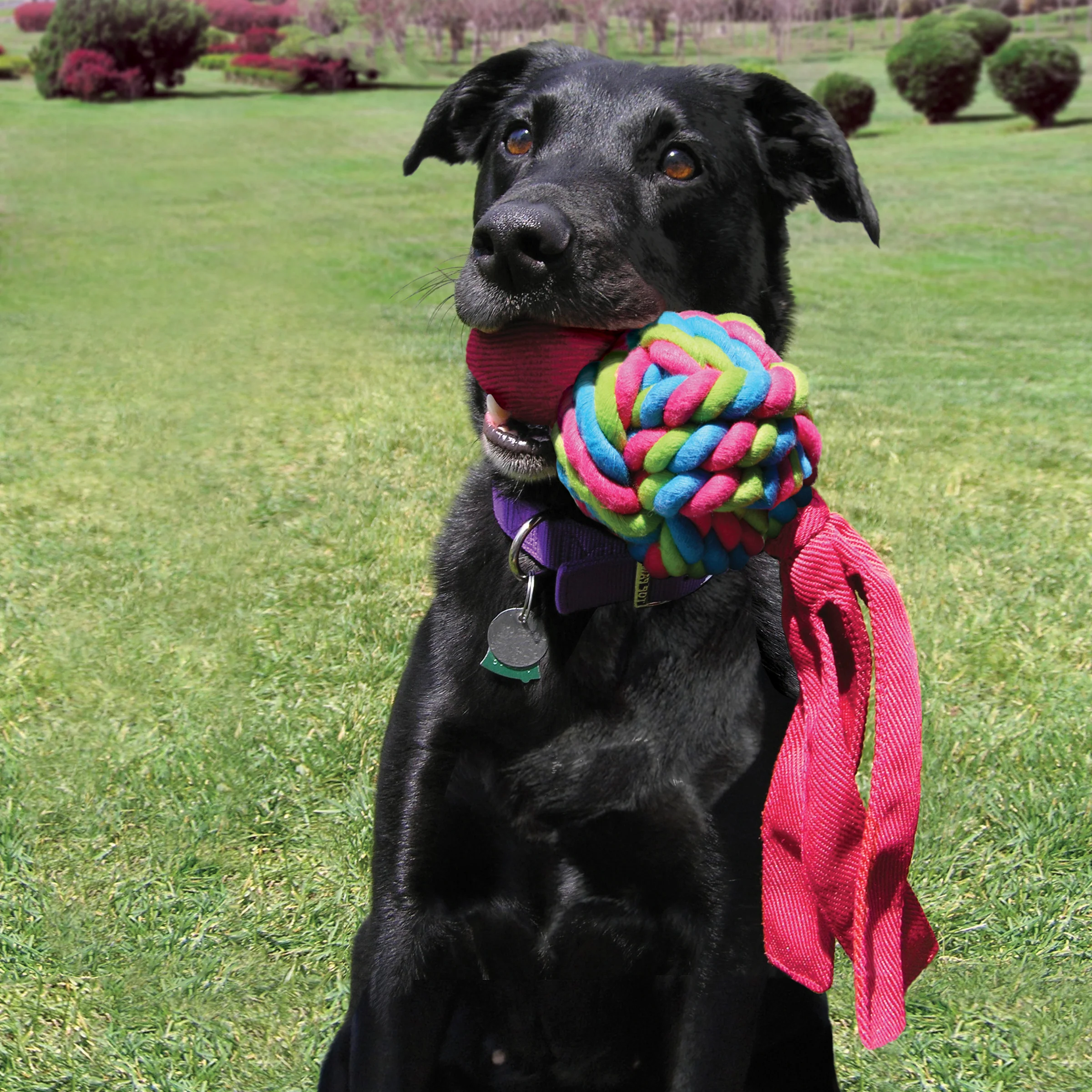 KONG Wubba Weaves - Image 15