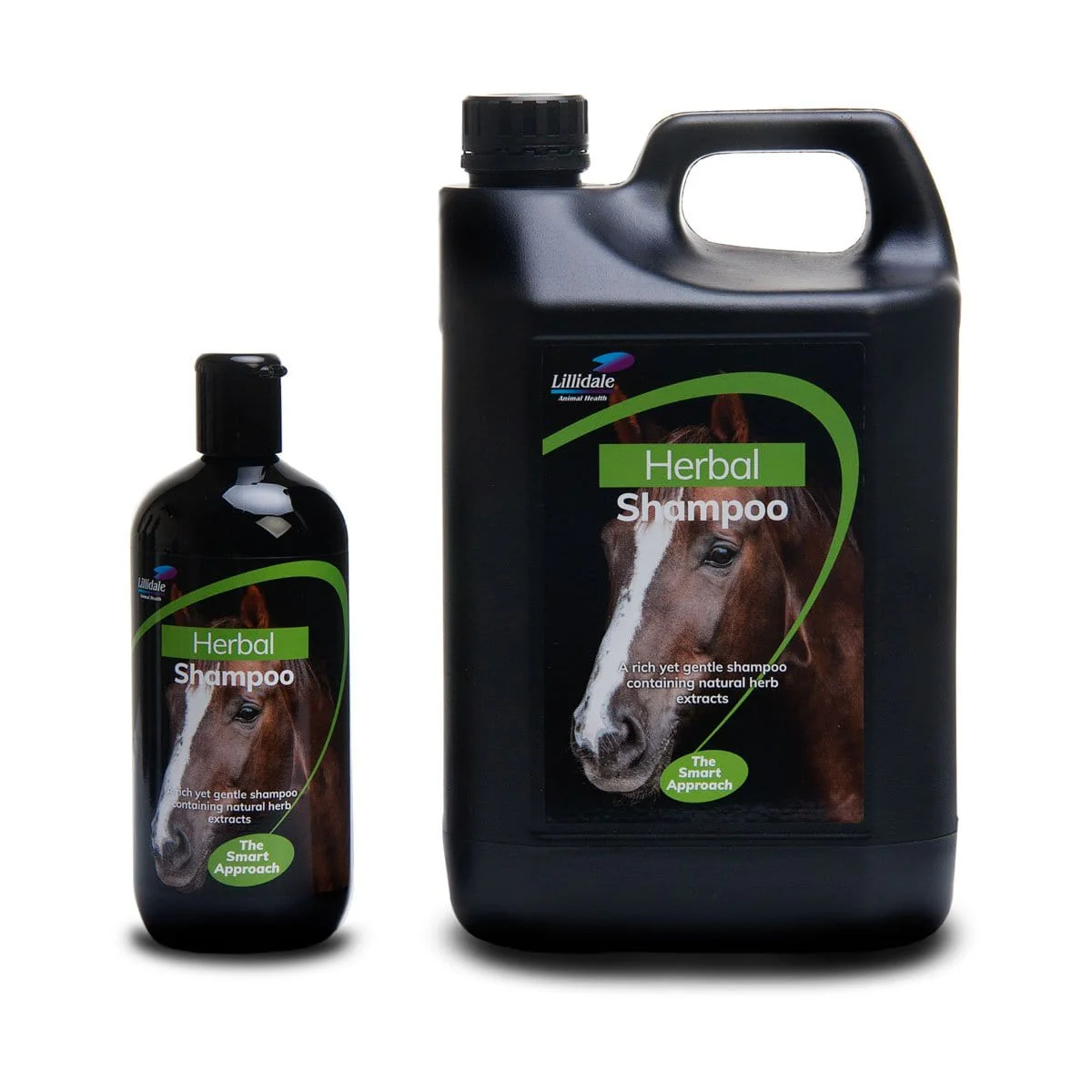 Lillidale Herbal Shampoo - Image 3