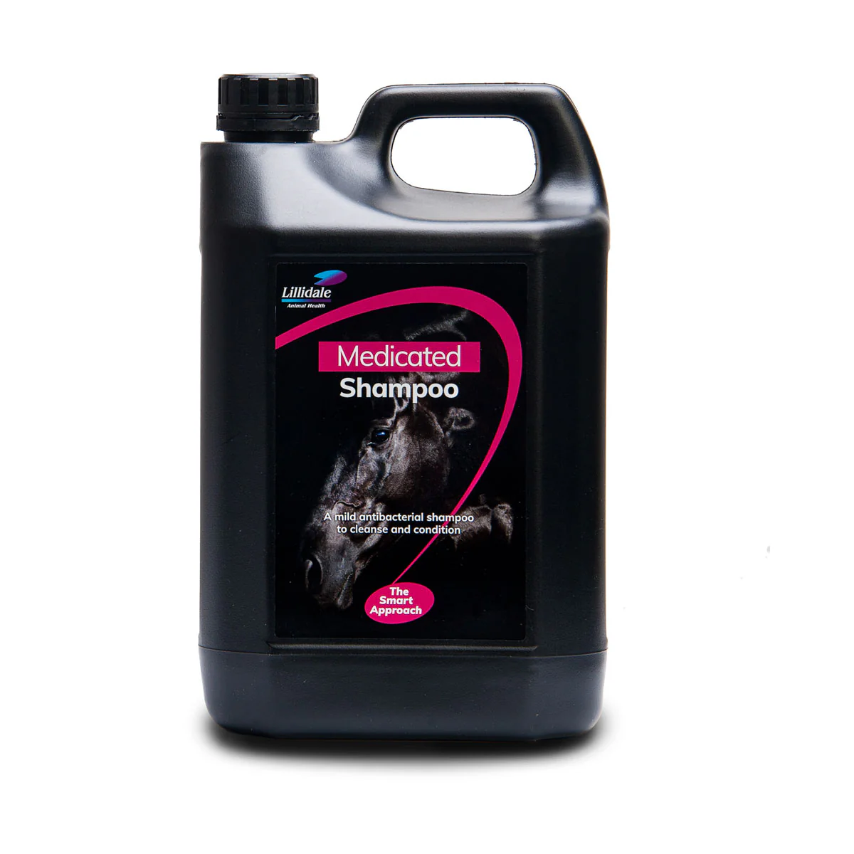 Lillidale Medicated Shampoo - Image 3