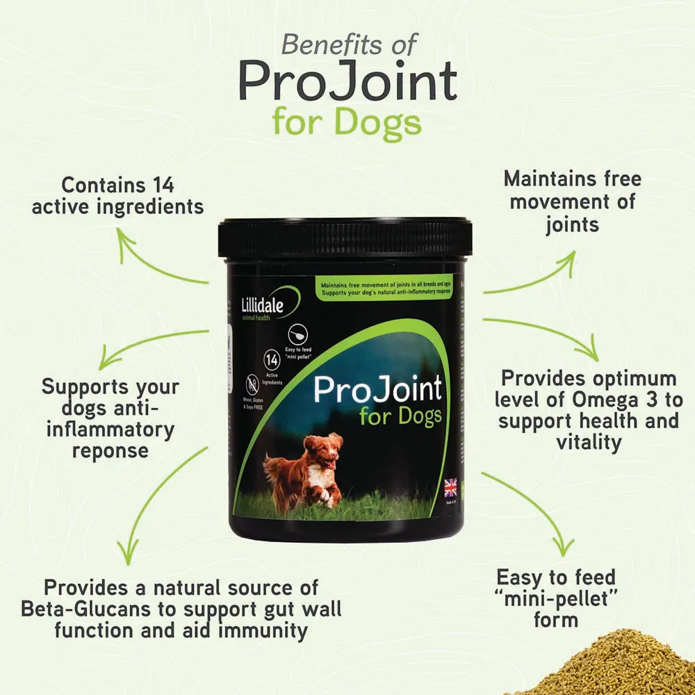 Lillidale ProJoint 4 Dogs - Image 2