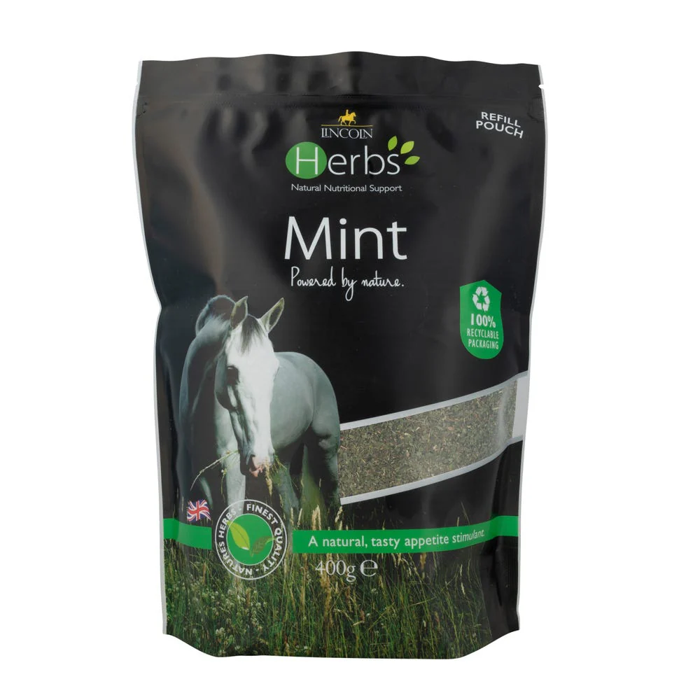 Lincoln Herbs Mint - Image 2