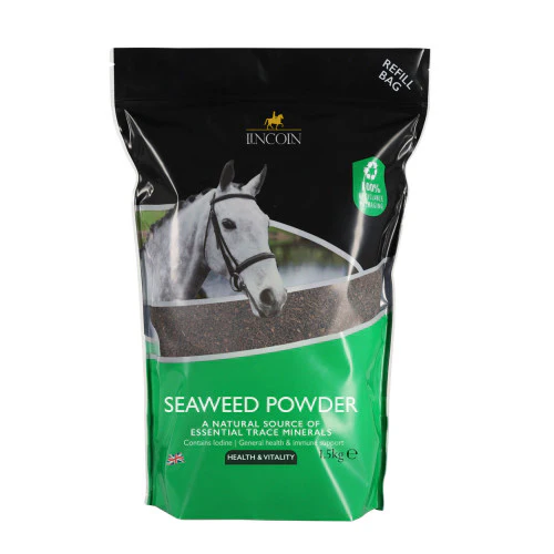 Lincoln Seaweed Powder - Image 2
