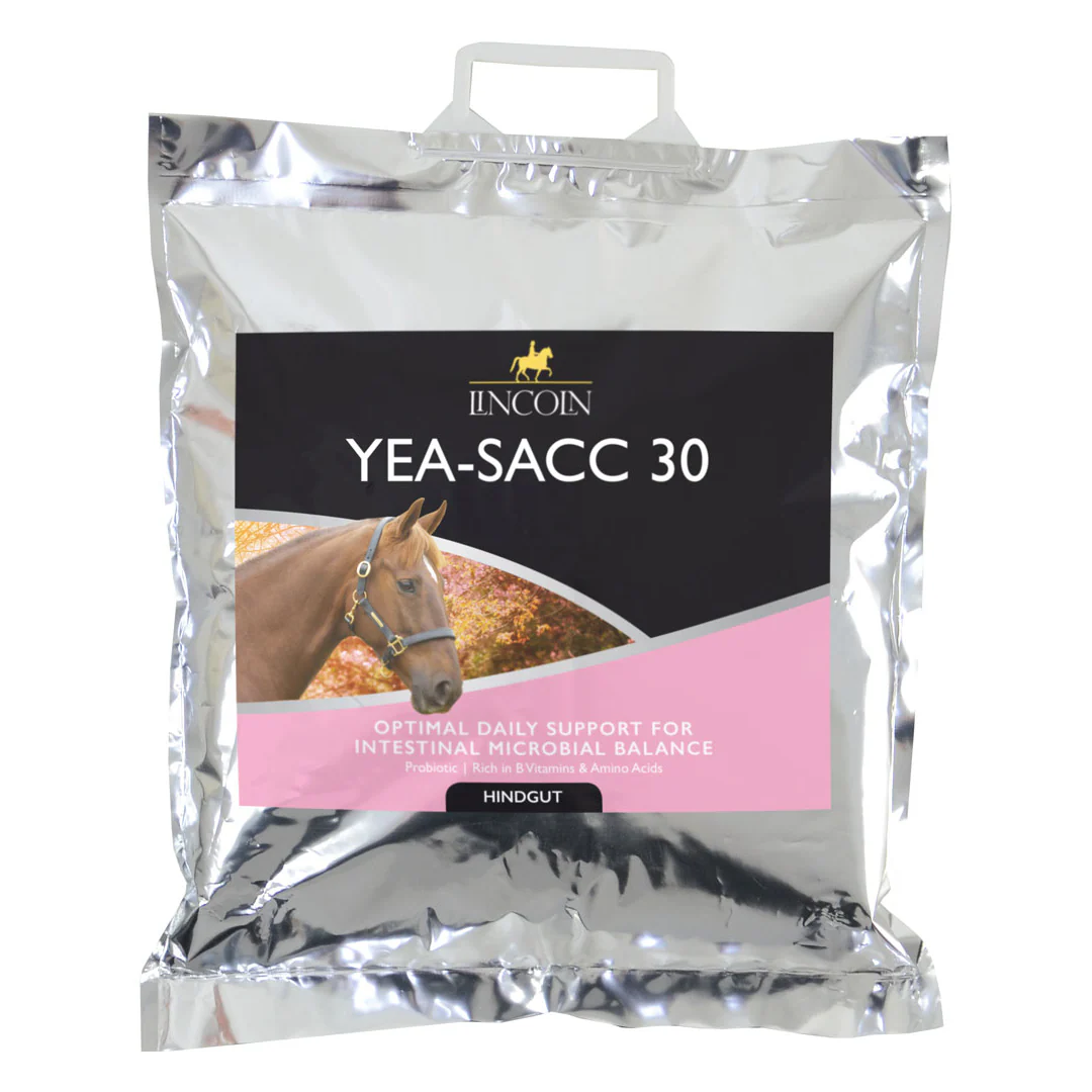 Lincoln Yea-Sacc 30 - Image 3