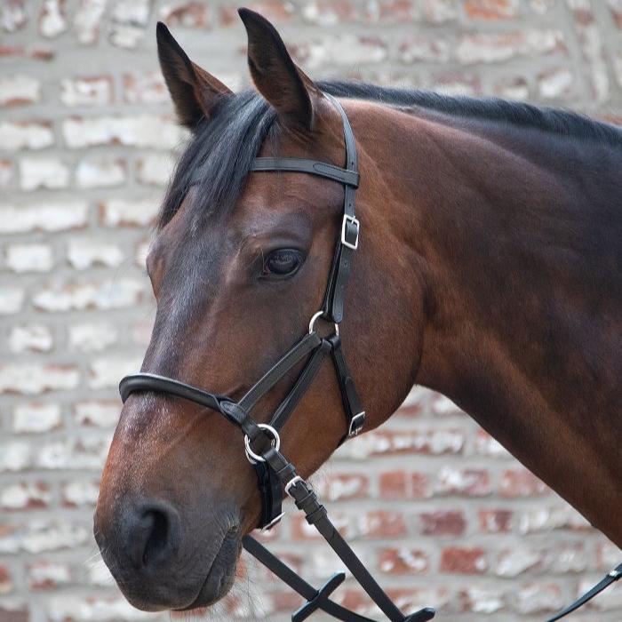 Linda Tellington-Jones Lindell Bitless Bridle - Image 2
