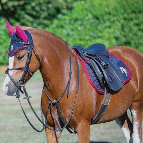 Little Rider Riding Star Collection Fly Veil - Image 2