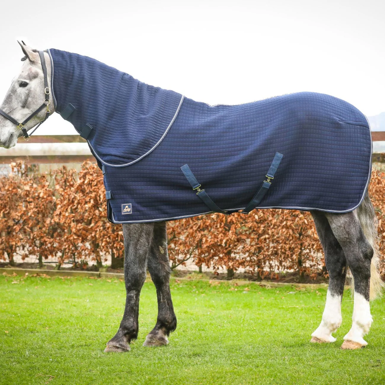 Mackey Aran Thermo Rug
