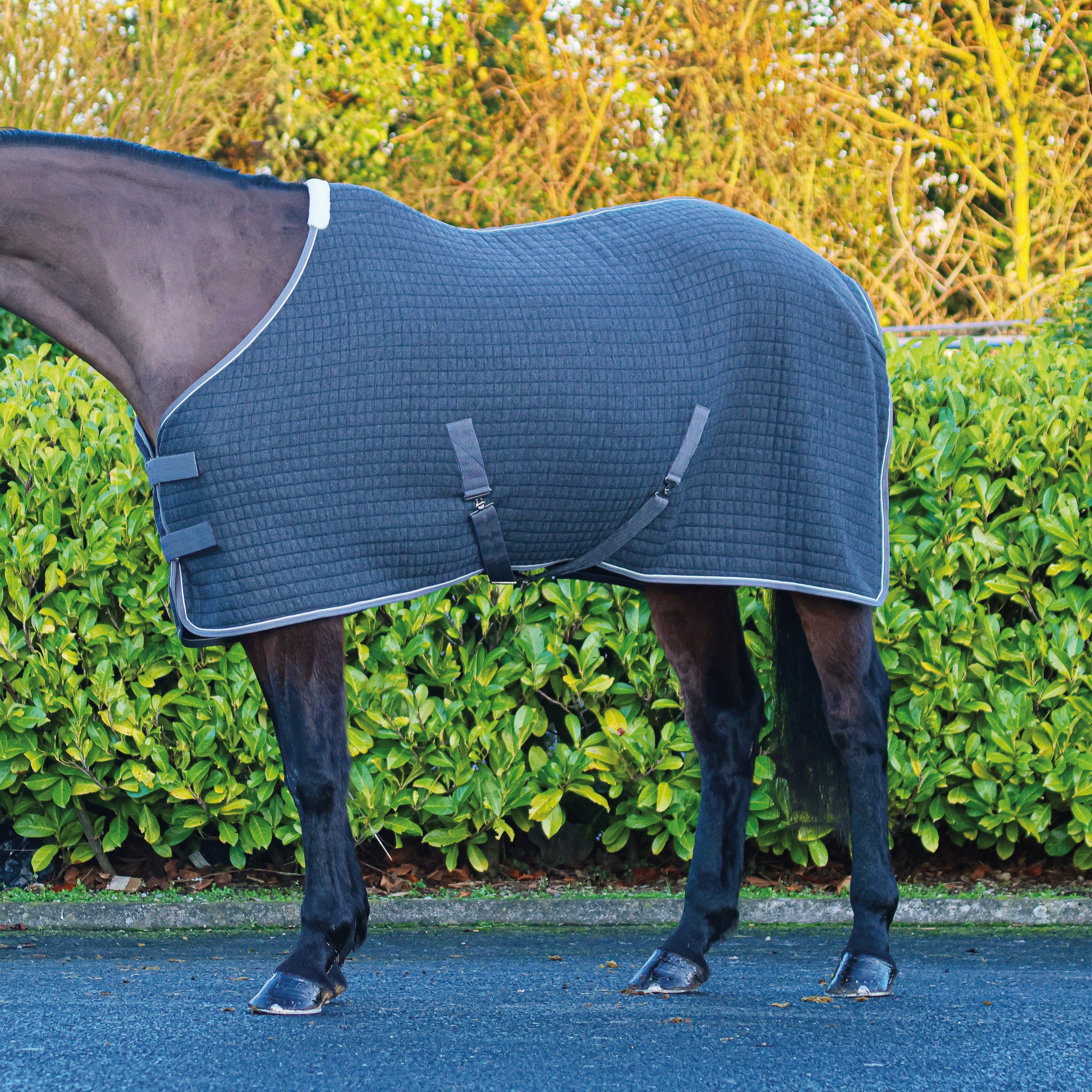 Mackey Aran Thermo Rug - Image 2