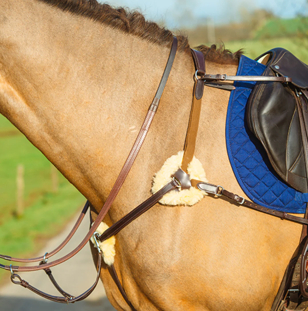 Mackey Classic 5-Point Breastplate - Image 2