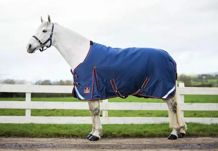 Mackey Keadeen Standard Neck Turnout Rug