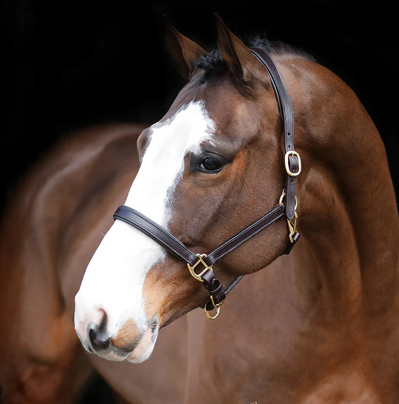 Mackey Legend Helios Leather Headcollar - Image 2