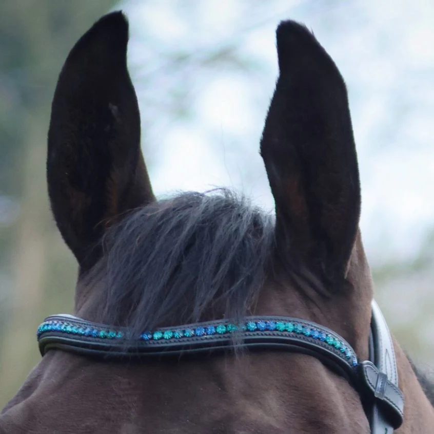 Mackey Midnight Sparkle Browband - Image 3