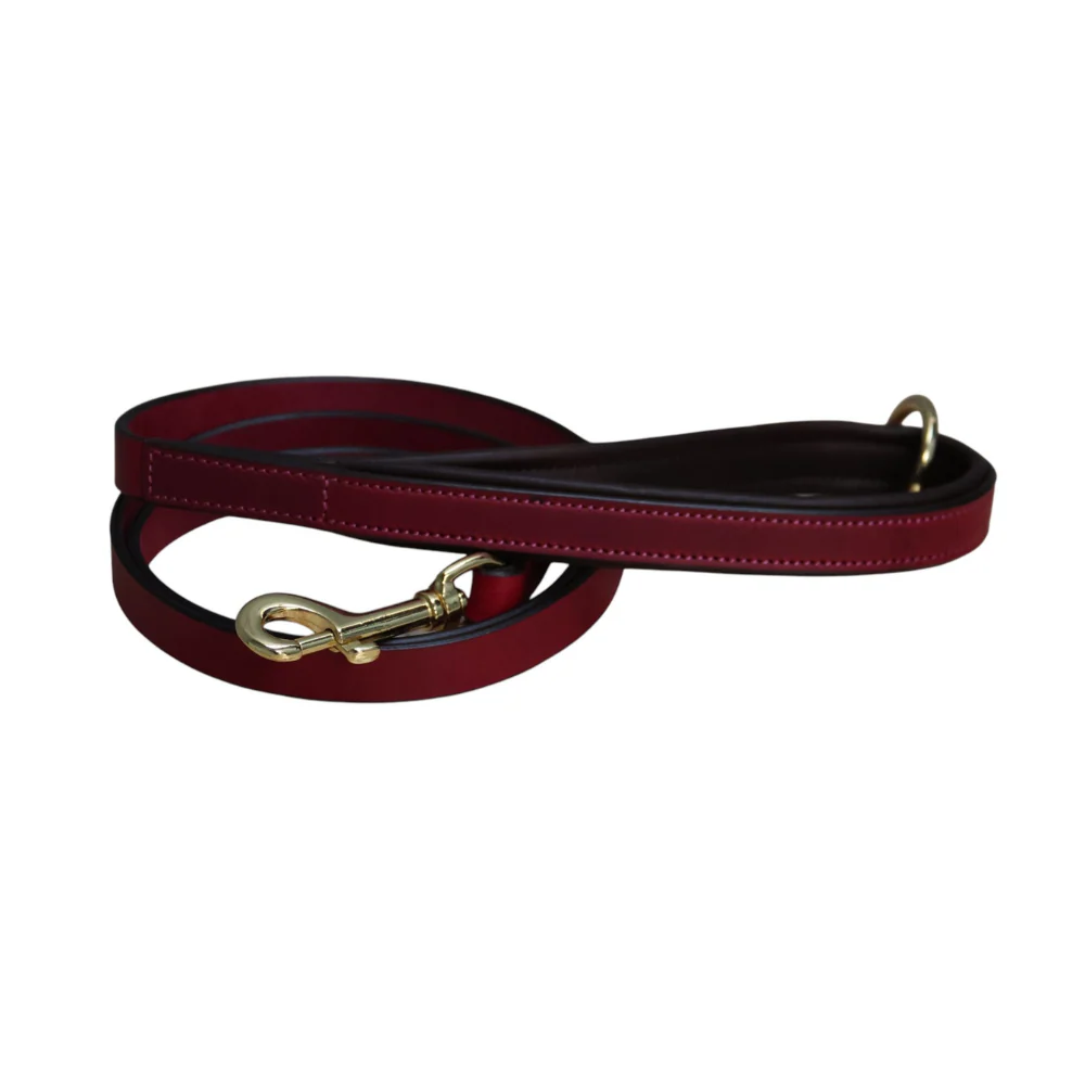 Mackey Padded Dog Lead - Image 3