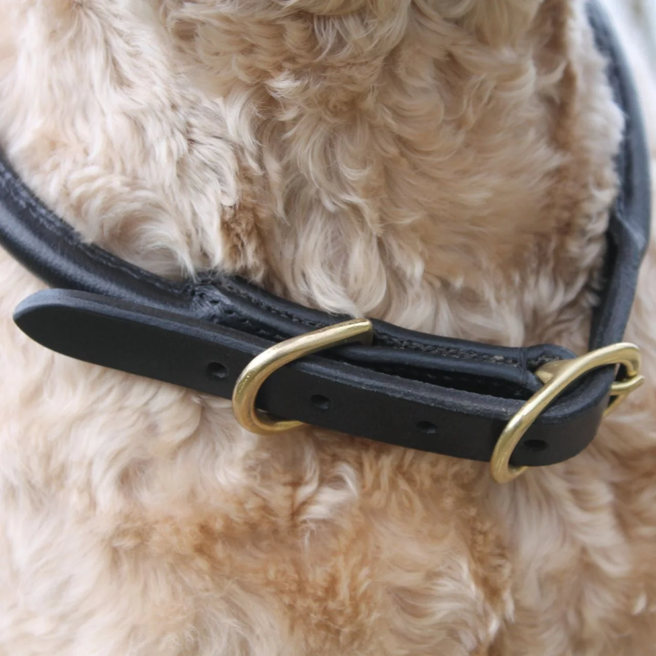 Mackey Rolled Leather Dog Collar - Image 2